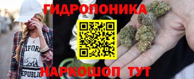 ПСИЛОЦИБИНОВЫЕ ГРИБЫ Камышлов